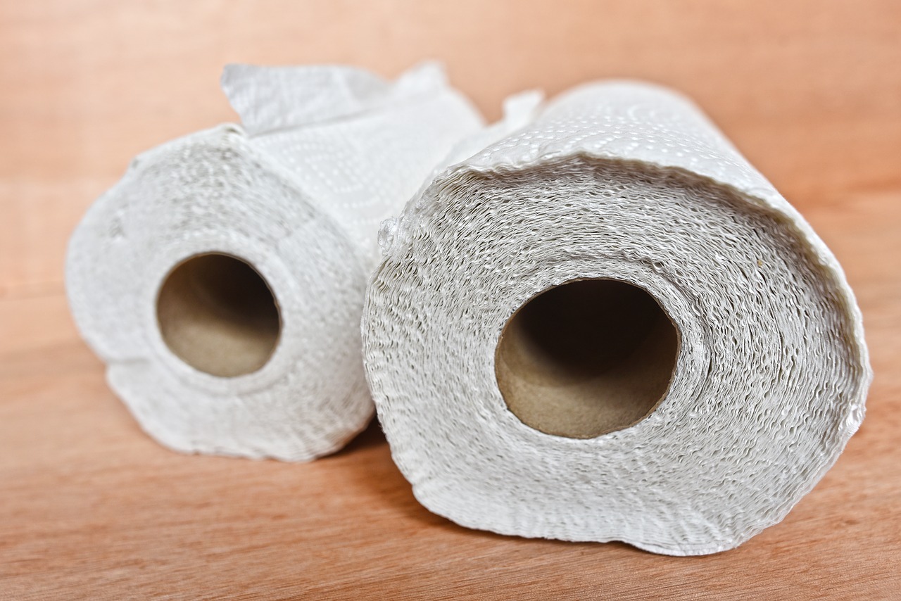 paper towels as part of the ultimate auto mechanic tools list