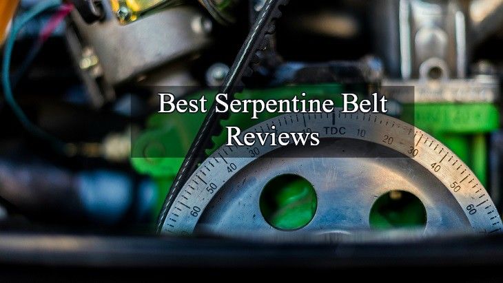 Best Serpentine belt Reviews